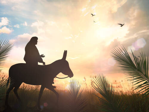 Ogłoszenia 22.03.2026 r.