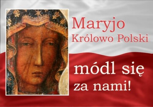 Ogłoszenia 03.05.2026 r.