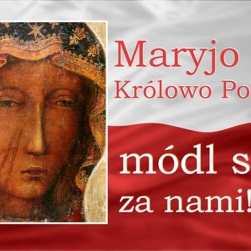 Ogłoszenia 03.05.2026 r.